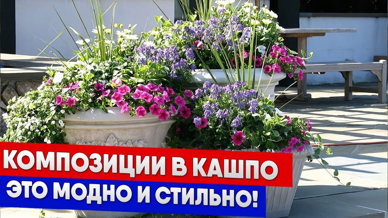 Композиции в кашпо   это модно и стильно!