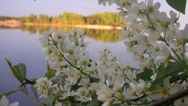 Деревня моя смотреть онлайн