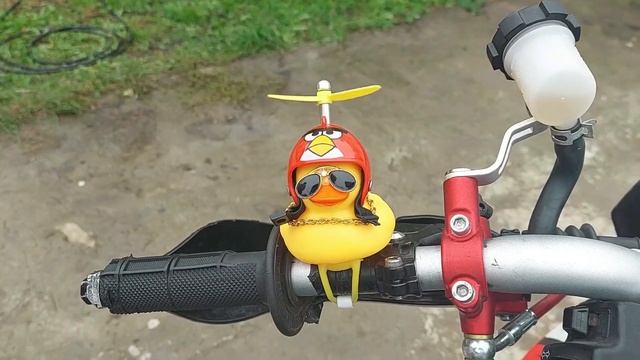 Мото будни ( супермото ) aprilia rxv 550 смотреть онлайн
