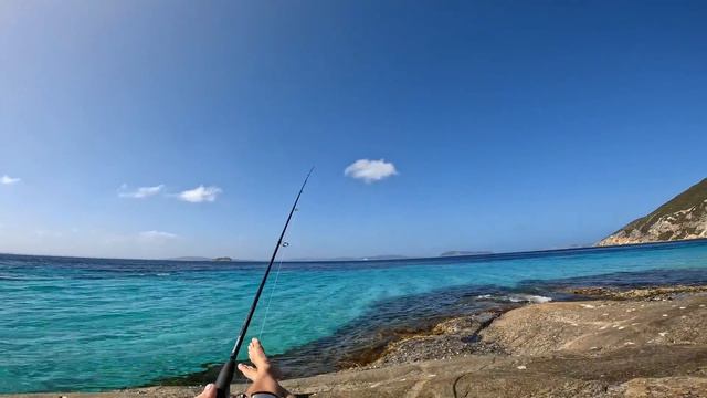Squid and King George Whiting Catch and Cook смотреть онлайн