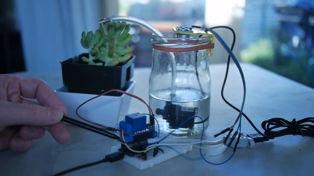 Autonomous Plant - Proof of concept смотреть онлайн