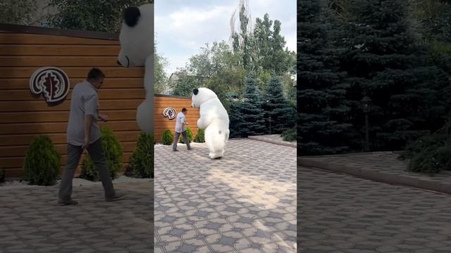 Надоели скучные медведи? Надоели фото с медведем? Cмотри медведь на сцене #поздравление белыймишка смотреть онлайн