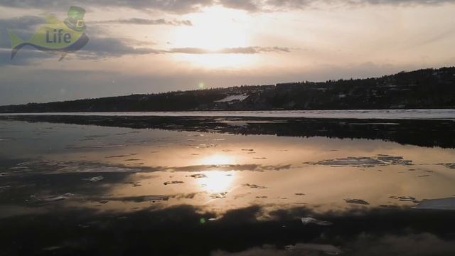 Эту наживку налим просто обожает зимой! Кидается как только увидит. Налим рыбалка зимой на минтай. смотреть онлайн
