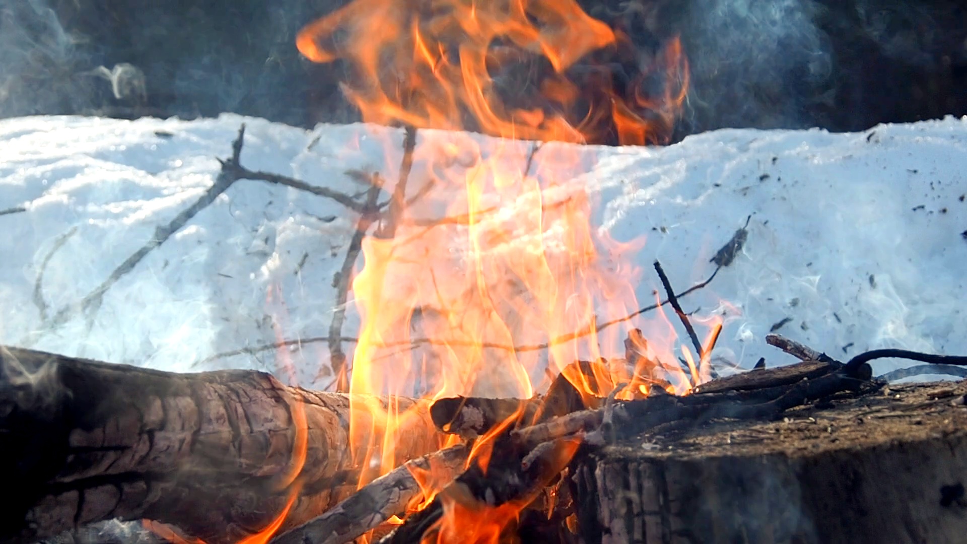 Лес, весна, снег, костёр и КВ-радиосвязь. Прогулка в лес. Март 2021. смотреть онлайн