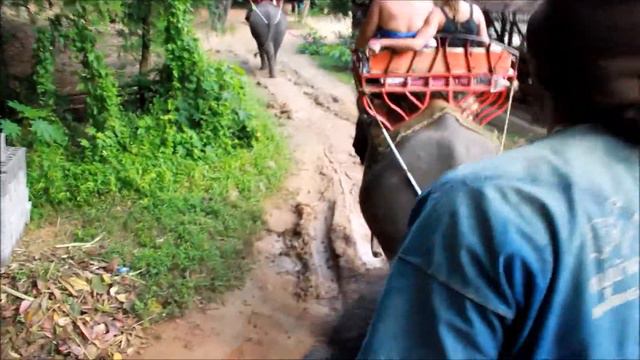 Прогулка на слонах по реке Квай (Тайланд) - 2 смотреть онлайн