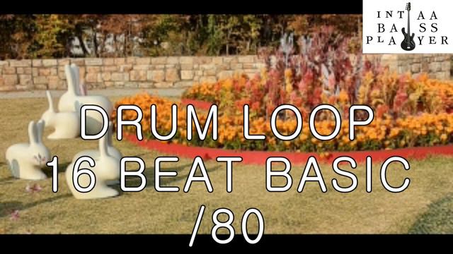 DRUM LOOP 16 BEAT BASIC /80 METRONOM смотреть онлайн