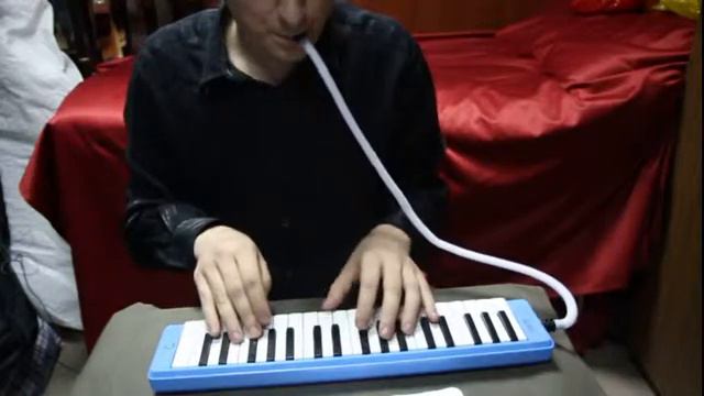Мелодика (Melodica) MVI 1482