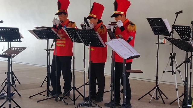 Under the Double Eagle | Harmonica Trio смотреть онлайн