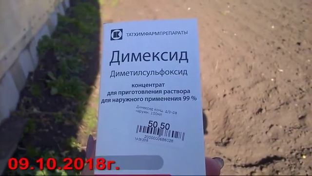 67/18 Чем мы занимаемся сейчас / Применяем Димексид на огороде смотреть онлайн