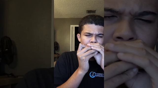 Blues Backing Track in E (A Harmonica) Bluemoon Harmonicas Brass Comb Double Reed Plate смотреть онлайн