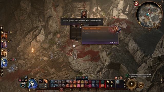 Find the lock to fit the flower key Baldur's Gate 3 смотреть онлайн