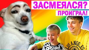 НЕ ЗАСМЕЙСЯ ЧЕЛЛЕНДЖ! +РОЗЫГРЫШ МАШИНОК! Реакция на смешные видео про животных!