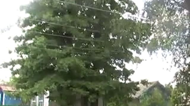 1816554.mp4 смотреть онлайн