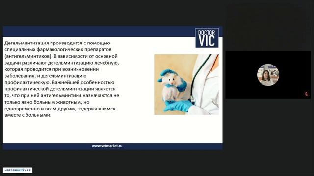 Эндопаразиты у грызунов и кроликов