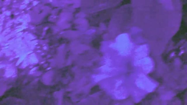 Baader-U, ultraviolet test смотреть онлайн
