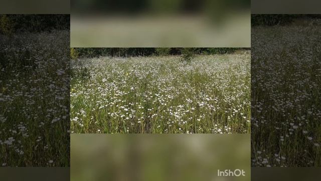 многомерное послание Иисуса!!! часть седьмая! озвучка Никошо! автор неизвестный! смотреть онлайн