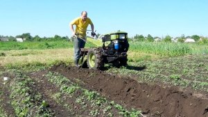 Окучивание картошки тяжелым мотоблоком 2019