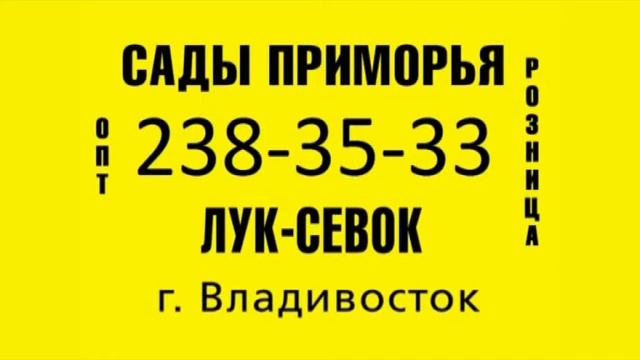 Рекламный блок (1 канал Владивосток, 15.02.2017) смотреть онлайн