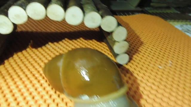 #МЕГАЛОБУЛИМУС ОБЛОНГУС СВЕТЛОНОГИЕ УЛИТЯТА#ПИТОМНИКМАРИМИСТИК#куплюпродаюахатин#африканскиеулитки смотреть онлайн