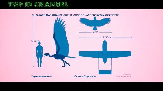 10 самых страшных хищников эры млекопитающих смотреть онлайн