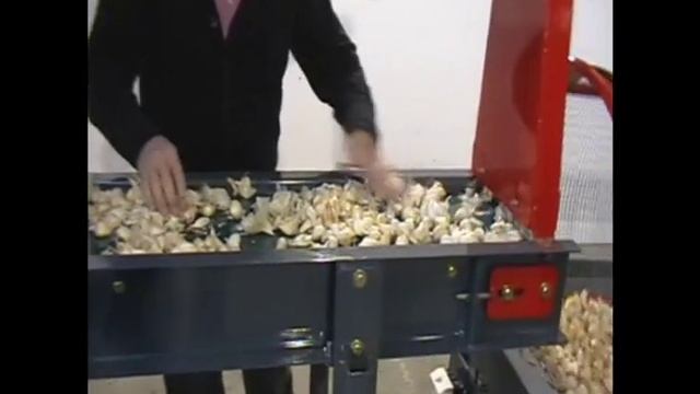 Устройство для дробления головок чеснока.wmv смотреть онлайн