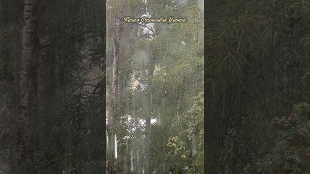 Дождливый день смотреть онлайн