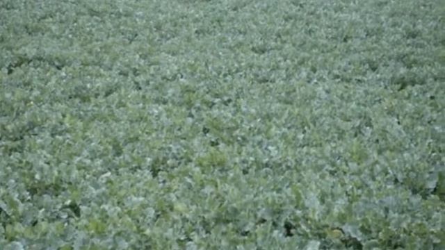 essai samsung s860 смотреть онлайн