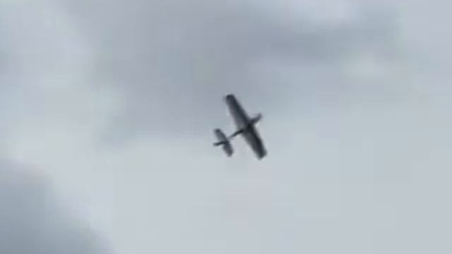 Multiplex Acromaster смотреть онлайн