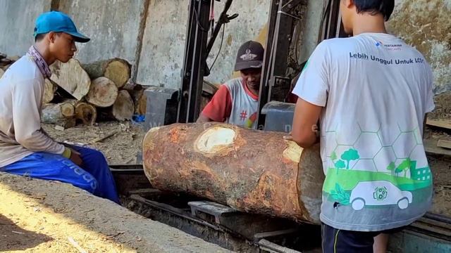 Extraordinary Skills for Sawing and Cutting Short Wood || #Sawmill смотреть онлайн
