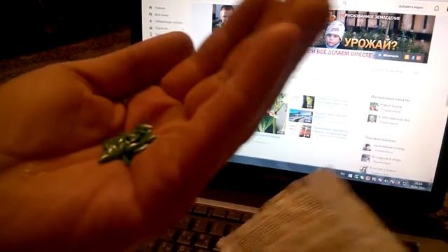 Только экранированные профессиональные семена тут смотреть онлайн