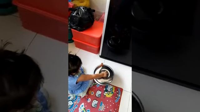 варим суп с котом