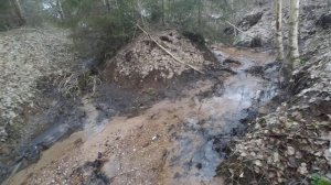 Ключи и родники - основной  источник хорошей воды.