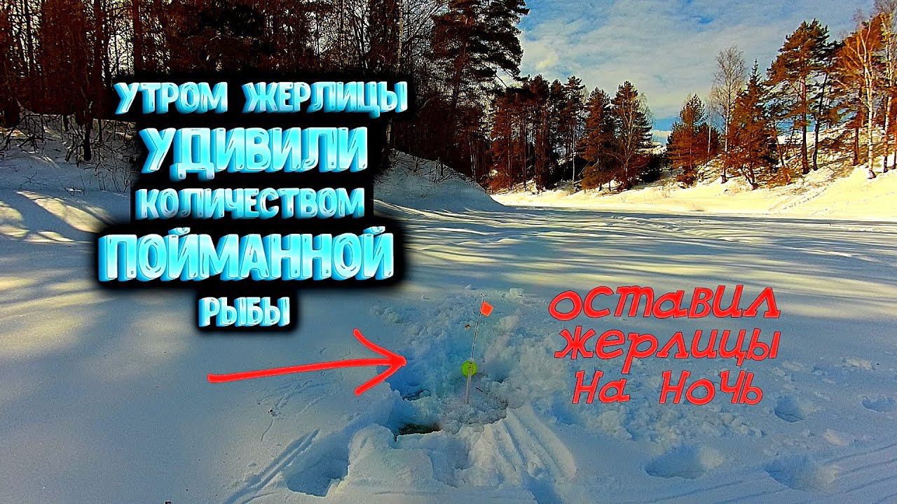 ✔ НЕ ОЖИДАЛ поймать СТОЛЬКО РЫБЫ после ночи НО...Проверяю жерлицы оставленные на ночь Рыбалка весной смотреть онлайн