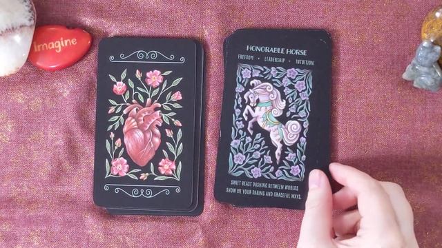 Wild Whiskers Spirit Animal Oracle by Faina Lorah ??? Oracle Deck Walkthrough and Review смотреть онлайн