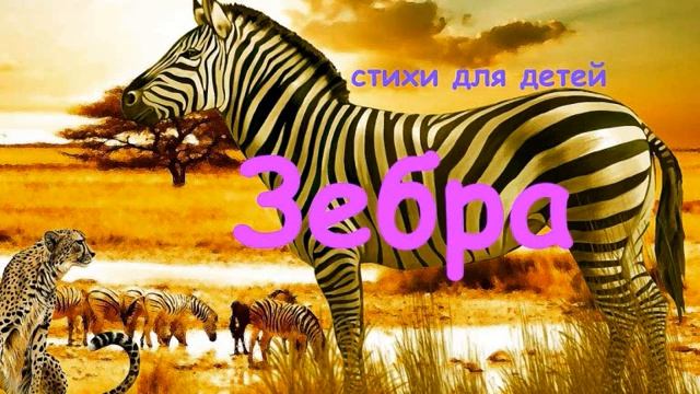 Зебра. Аудиостихи для детей смотреть онлайн