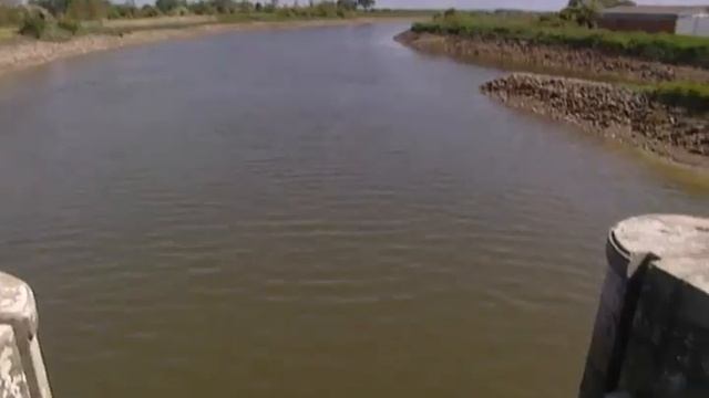 113 Сады мира смотреть онлайн