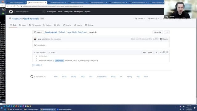 Getting Started with Habana: Deep Speed Optimization on Large Models смотреть онлайн