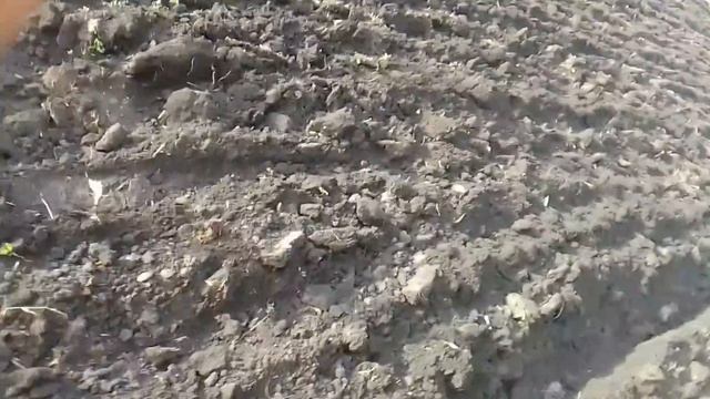 мт 4х4 вспашка огорода. размер плуга. смотреть онлайн