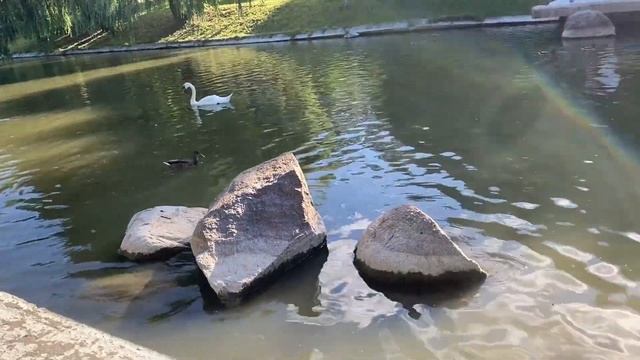 КРУТИЛА С БЫВШИМ ЗА СПИНОЙ, И НЕ КРАСНЕЛА.Интересные жизненные аудио истории о любви и предательств смотреть онлайн