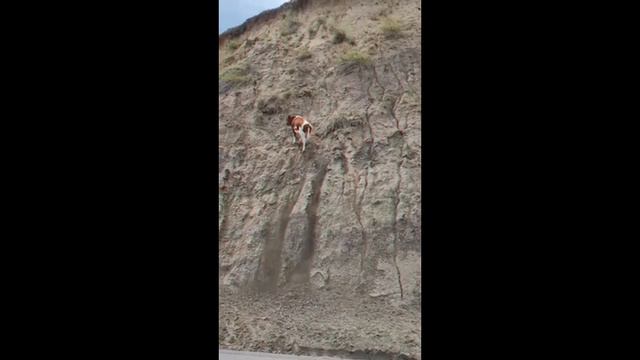 Ты человек и говоришь, что не можешь, тогда посмотри на это?! смотреть онлайн