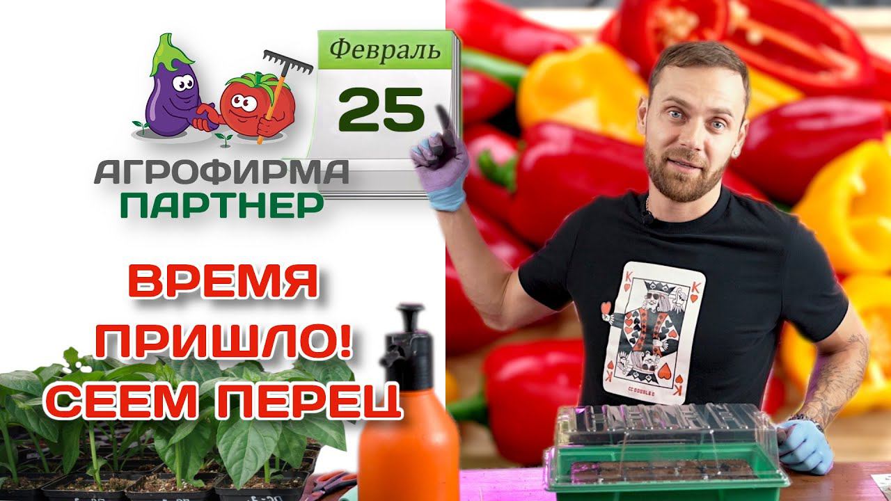 Время пришло! Сеем перец | #перец #огород #рассада смотреть онлайн