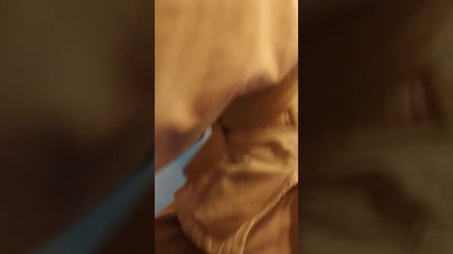 Разминка самбистов Самбо дети смотреть онлайн