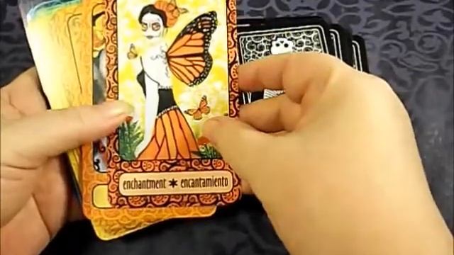 The Ofrenda Oracle Unboxing смотреть онлайн