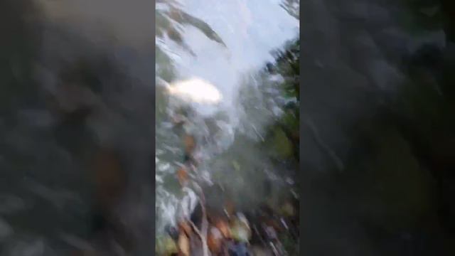 Спасение карасей смотреть онлайн