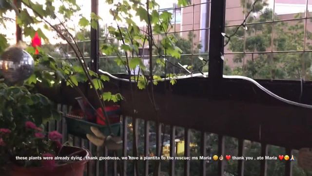 Ligo (Shower) Challenge 😁 #summertime#hotdays#refresh#hydrate
#bevibrant#becool#behappy😀#goodvibes