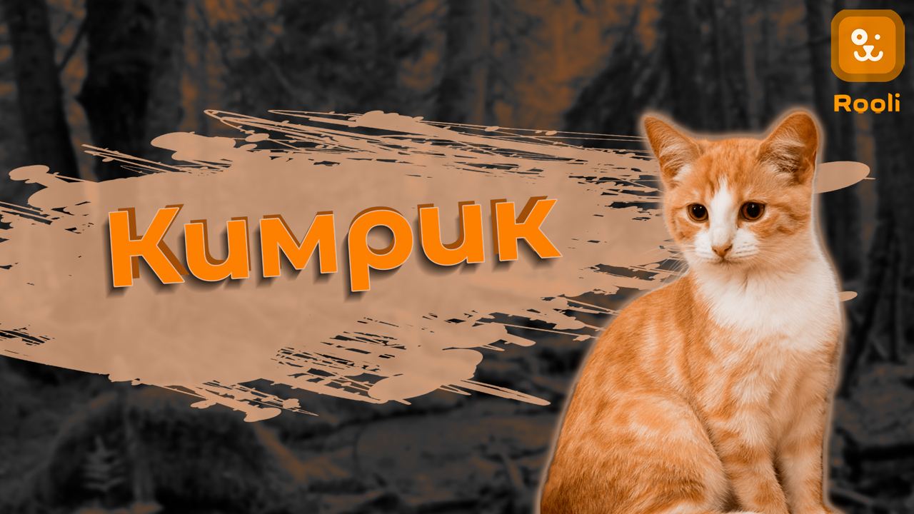 Кимрик смотреть онлайн