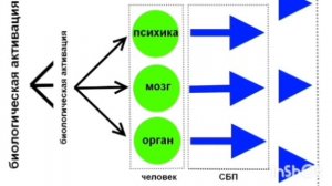 Психосоматика