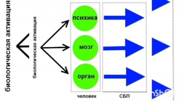 Психосоматика