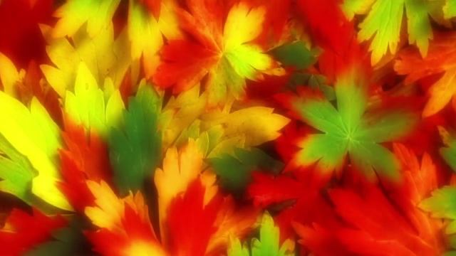 Мимоза - Сергей Сарычев - Осенние кустарники смотреть онлайн