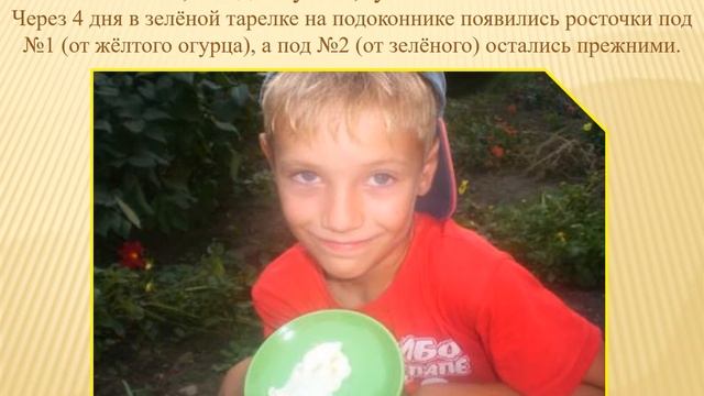 Условия жизни и развития растений 3 кл смотреть онлайн